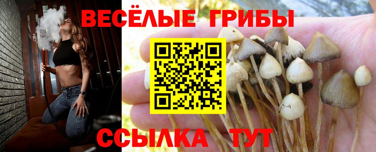 Галлюциногенные грибы Cubensis Трёхгорный